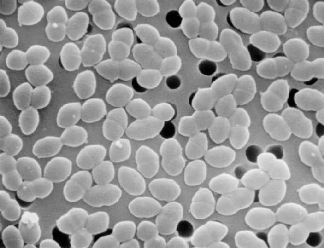When Acyclovir Becomes a Lifeline: Protecting High-Risk Patients From Severe Herpetic Disease